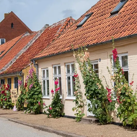 I Naer By, Skov Og Tatil Evi *